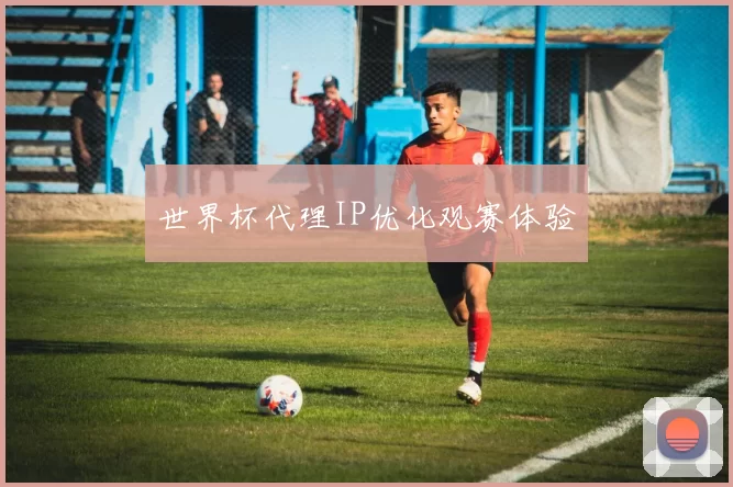 世界杯代理IP优化观赛体验