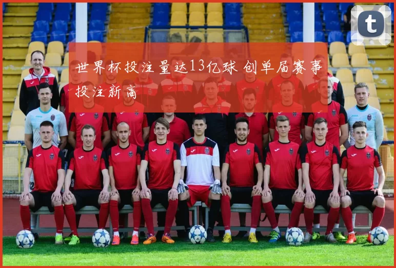 世界杯投注量达13亿球 创单届赛事投注新高