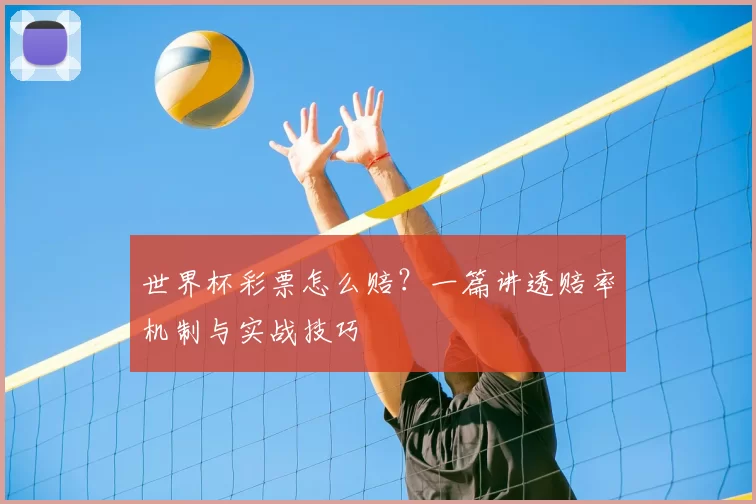 世界杯彩票怎么赔?一篇讲透赔率机制与实战技巧
