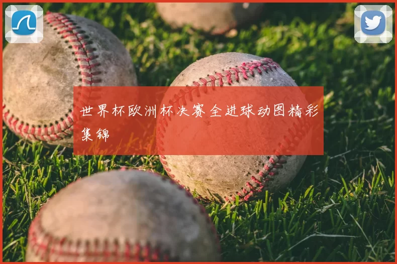 世界杯欧洲杯决赛全进球动图精彩集锦