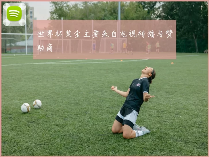 世界杯奖金主要来自电视转播与赞助商