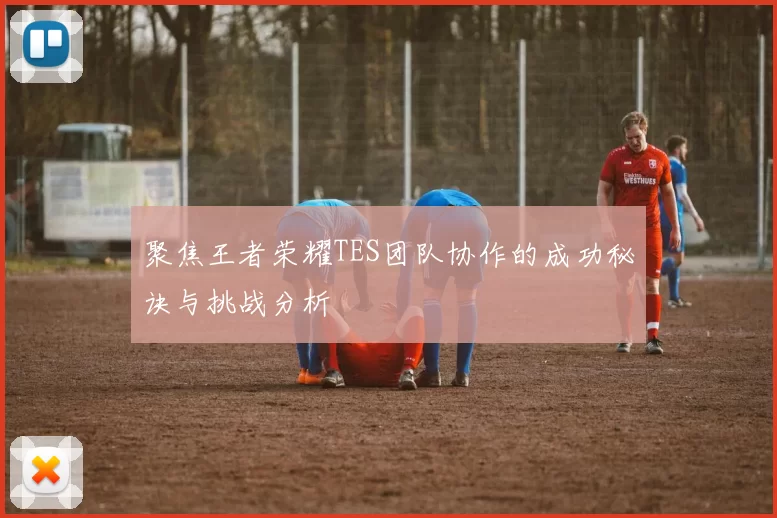 聚焦王者荣耀TES团队协作的成功秘诀与挑战分析