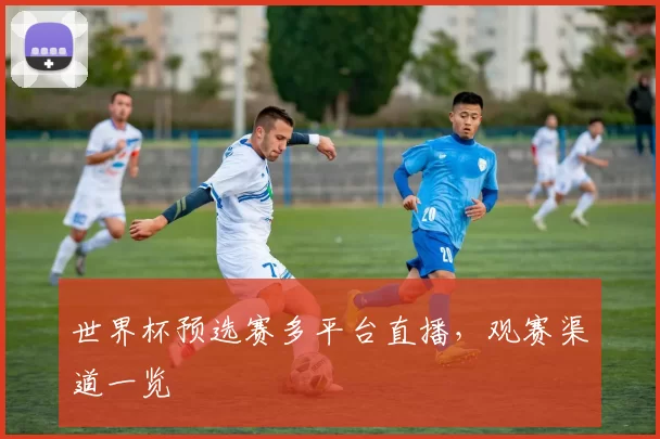 世界杯预选赛多平台直播,观赛渠道一览
