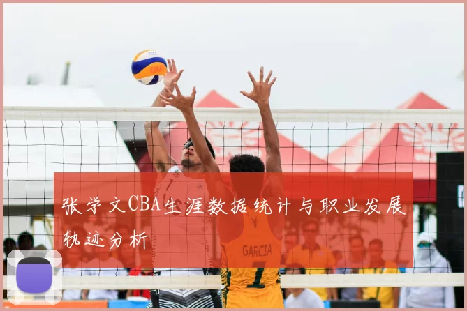 张学文CBA生涯数据统计与职业发展轨迹分析