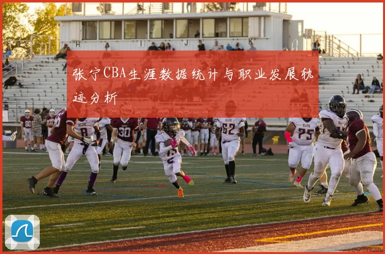 张宁CBA生涯数据统计与职业发展轨迹分析