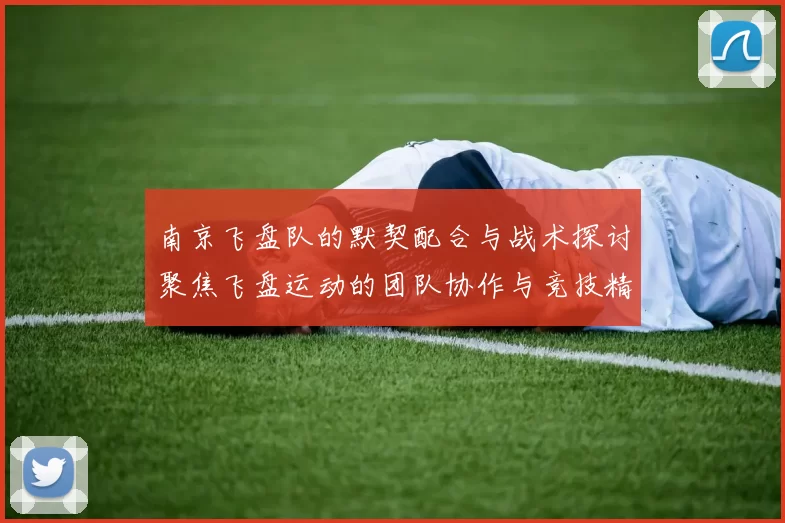 南京飞盘队的默契配合与战术探讨聚焦飞盘运动的团队协作与竞技精神