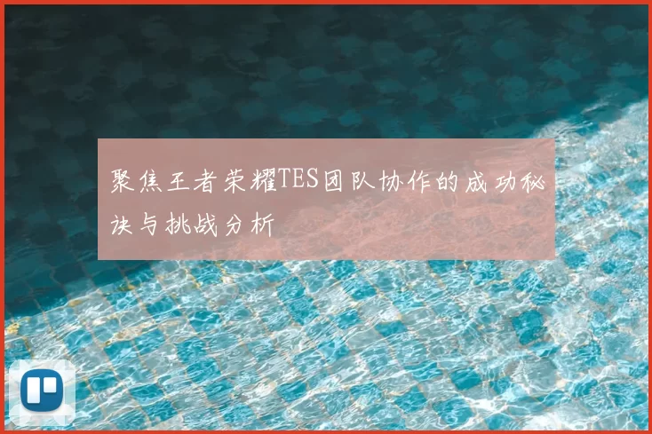 聚焦王者荣耀TES团队协作的成功秘诀与挑战分析