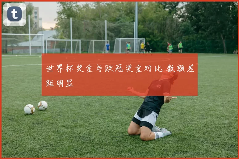 世界杯奖金与欧冠奖金对比 数额差距明显