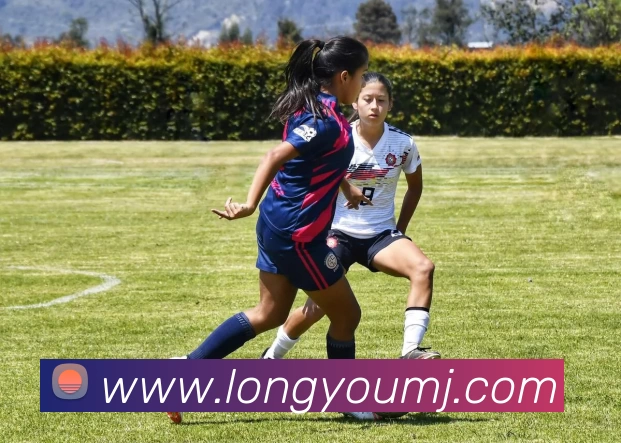 信誉好的平台品牌故事